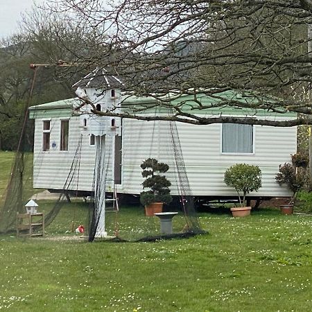 The Nest - Family Friendly Caravan Nr Glastonbury & Street 萨默顿 外观 照片