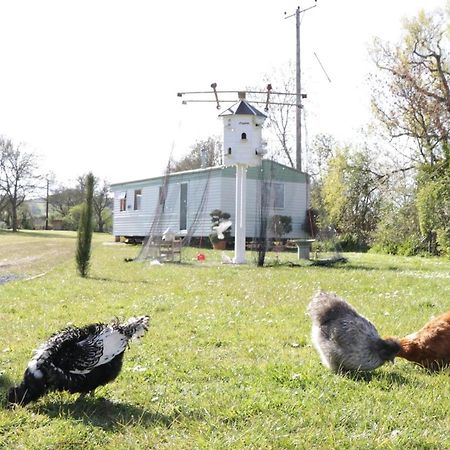 The Nest - Family Friendly Caravan Nr Glastonbury & Street 萨默顿 外观 照片