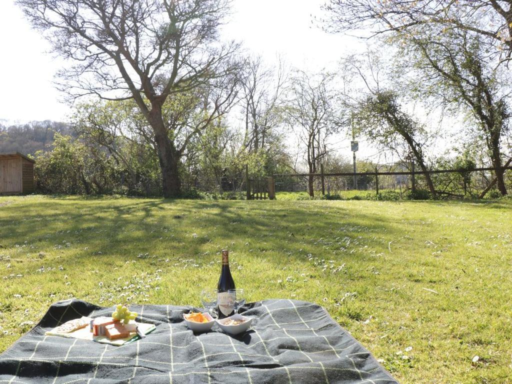 The Nest - Family Friendly Caravan Nr Glastonbury & Street 萨默顿 外观 照片